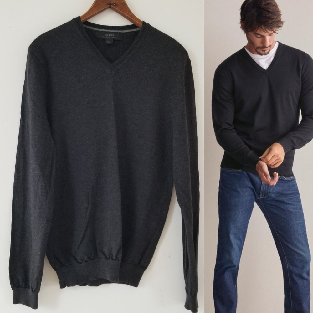 Express Fine Italian Marino Wool V-neck Sweater